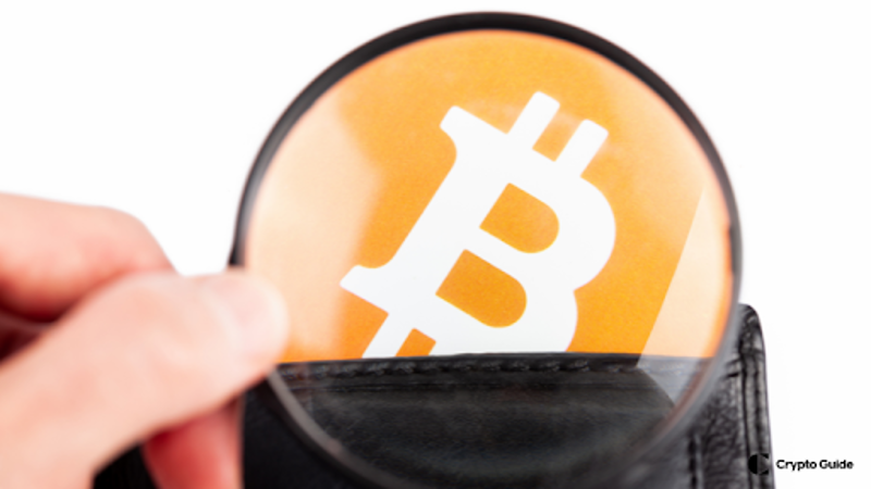 comment choisir un portefeuille de crypto-monnaies