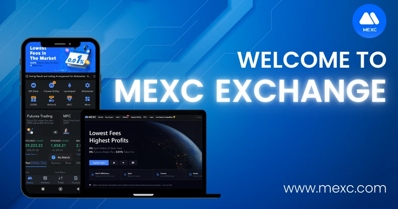 Avis sur MEX